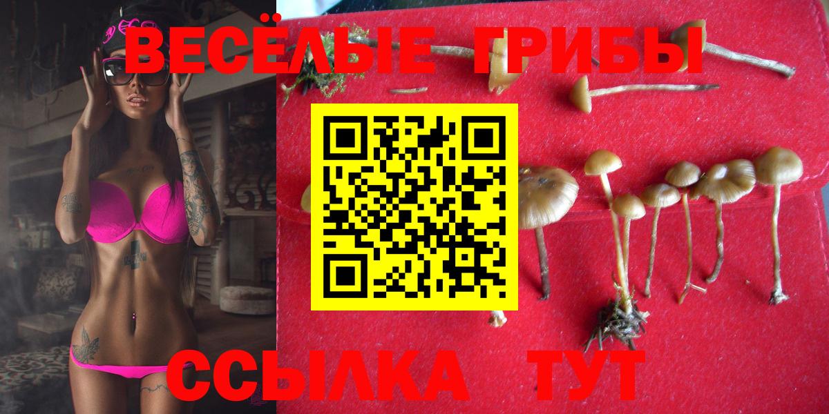 Псилоцибиновые грибы MAGIC MUSHROOMS  Вход с VPN  Котлас 